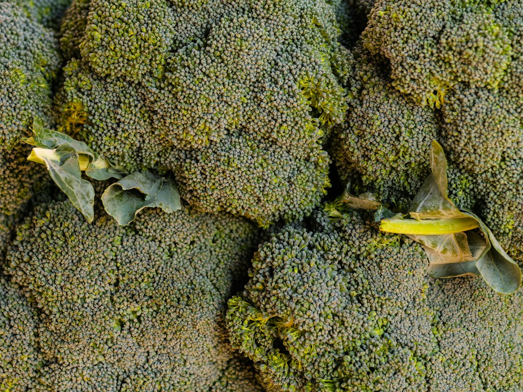 Fresh broccoli florets close-up