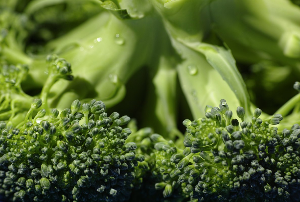 Plate of steamed broccoli and asparagus